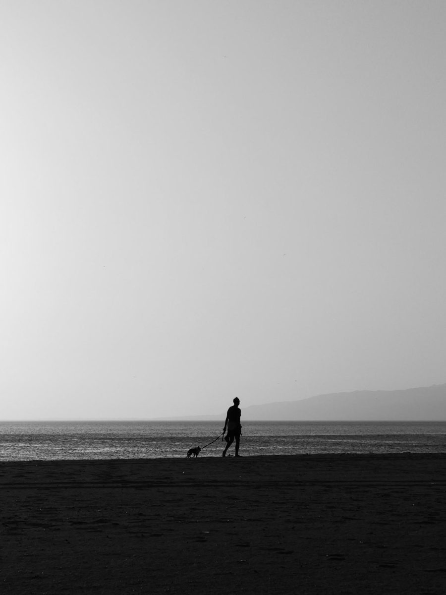 The Wanderer