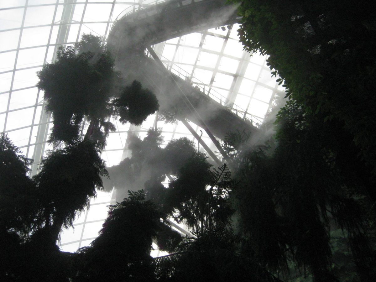 Lost in Singapore